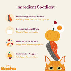 Made by Nacho Bone Broth Infused Dry Cat Kibble - Sustainably Caught Salmon and Pumpkin - Premium Cat Food, 4lb Bag